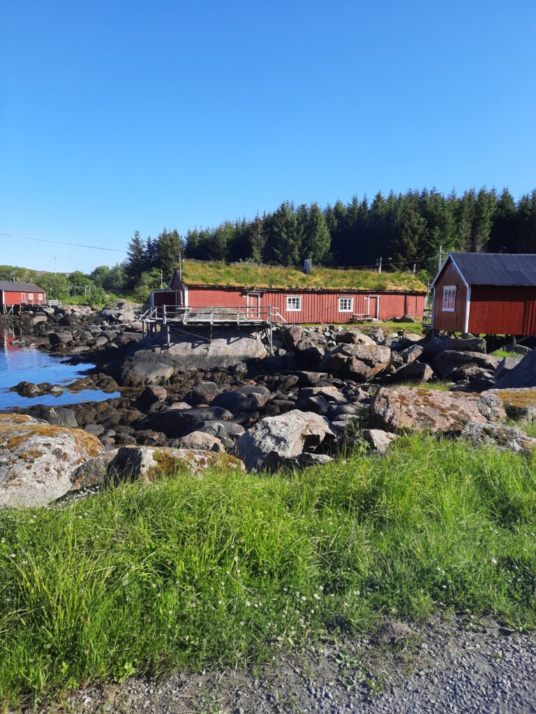 20250705_173652 - Ilman Karttaa