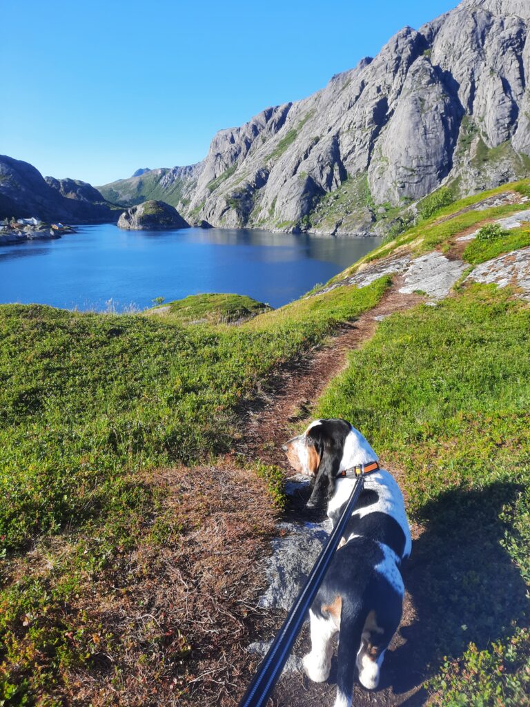 20250705_183834 - Ilman Karttaa