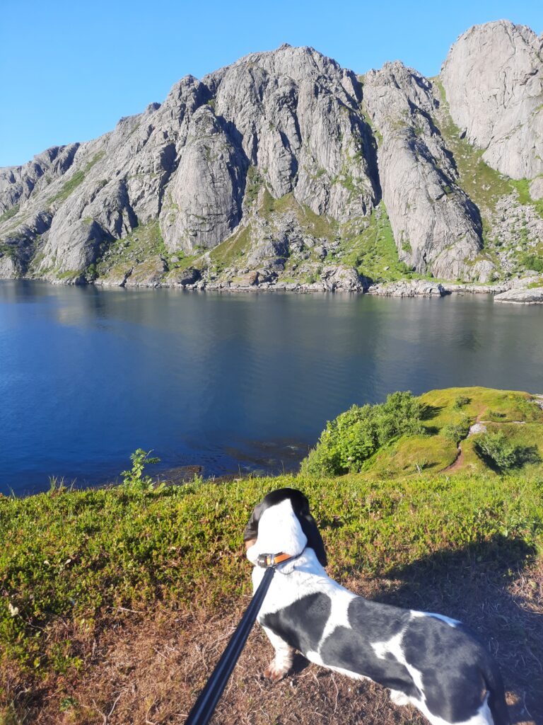20250705_184008 - Ilman Karttaa